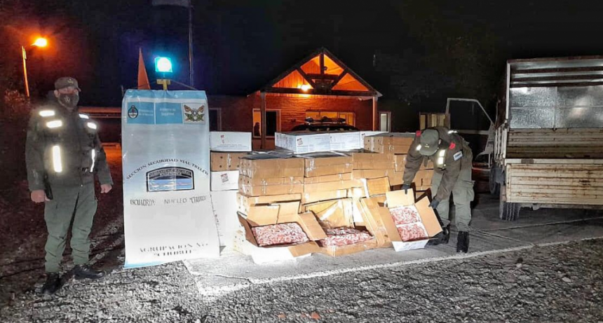 Operativo Verano Seguro: la Gendarmería interceptó un cargamento de langostinos de origen ilegal