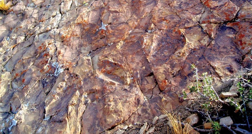 Descubren en Patagonia inusuales “patinadas” fosilizadas de dinosaurios saurópodos