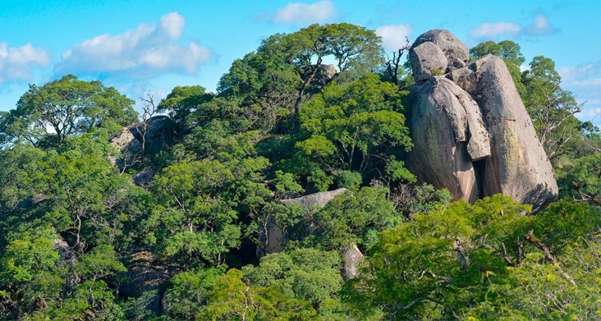 Estudiar huellas del pasado para contribuir a la gestión ambiental