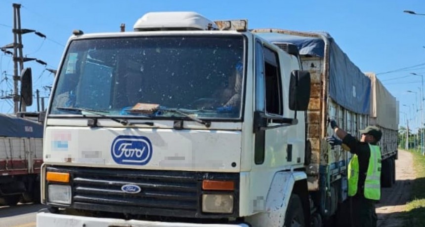 Decomiso de más de 237 toneladas de granos y cereales en Salta