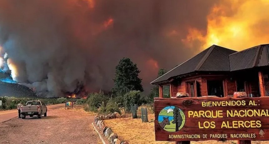 Incendio en el Parque Nacional Los Alerces