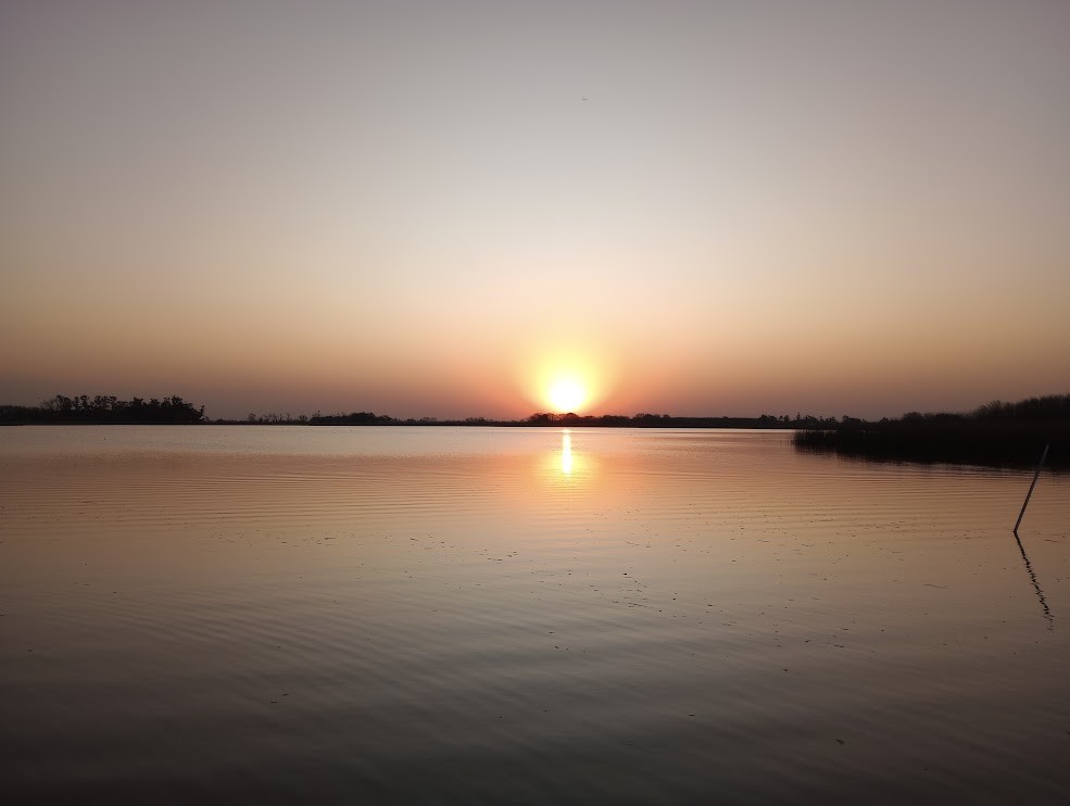 Bosque, Campo y Laguna en las Polvaredas.