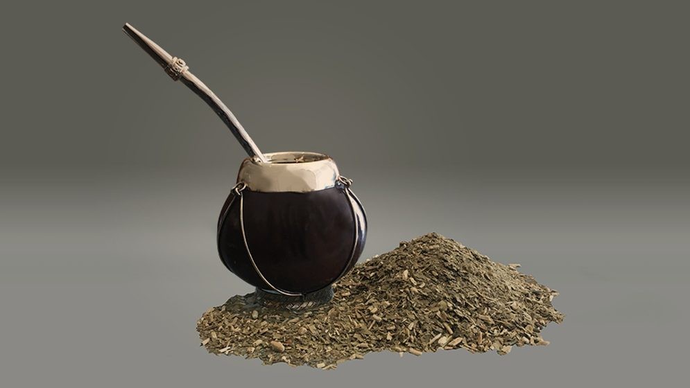 Especialistas del CONICET descifraron el genoma de la yerba mate