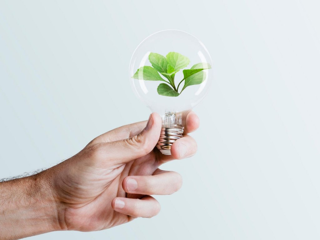 La innovación con sello local: La UNaB suma proyectos para el desarrollo de la región