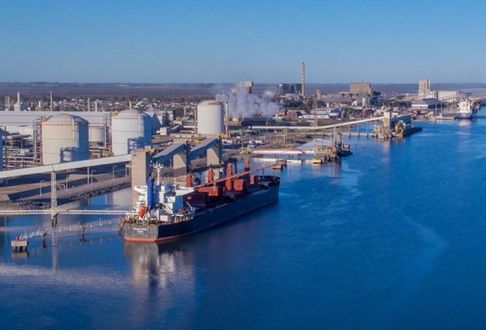 Récord en los muelles bonaerenses: los puertos públicos crecieron más de 10% y consolidan su rol estratégico