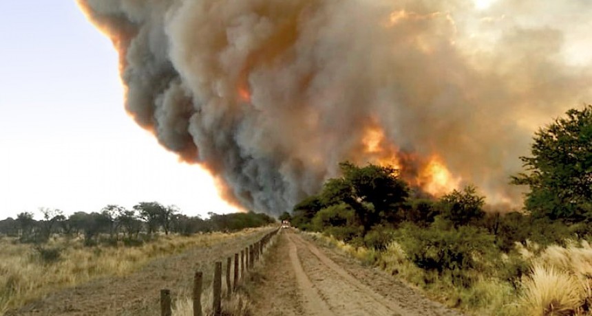 Incendios en La Pampa: el fuego sigue activo y ya arrasó más de 83 mil hectáreas