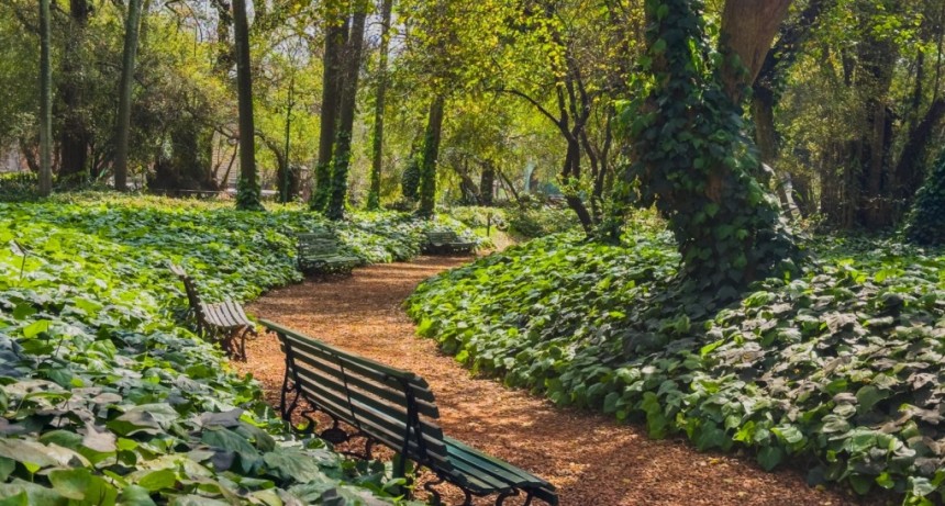 Refugios climáticos en la Ciudad: la respuesta oficial ante el calor extremo que expone una emergencia creciente