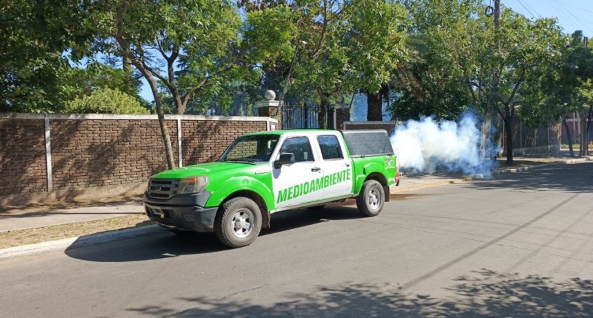 Refuerzan la fumigación en Esteban Echeverría para prevenir el dengue y otras enfermedades