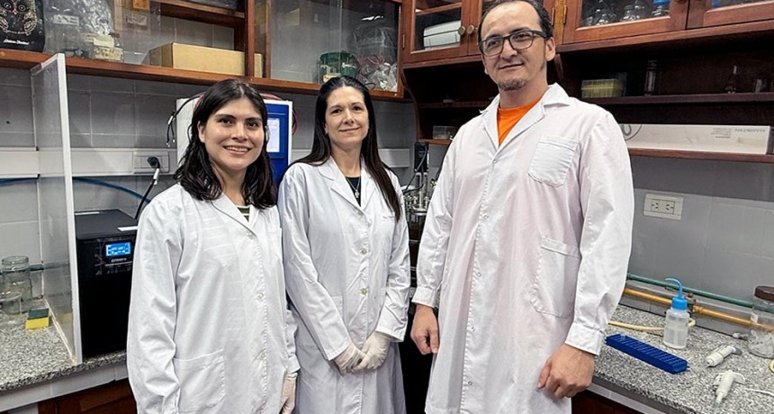Investigadores del CONICET trabajan junto a la empresa Ledesma para optimizar la producción de compuestos naturales con potencial industrial