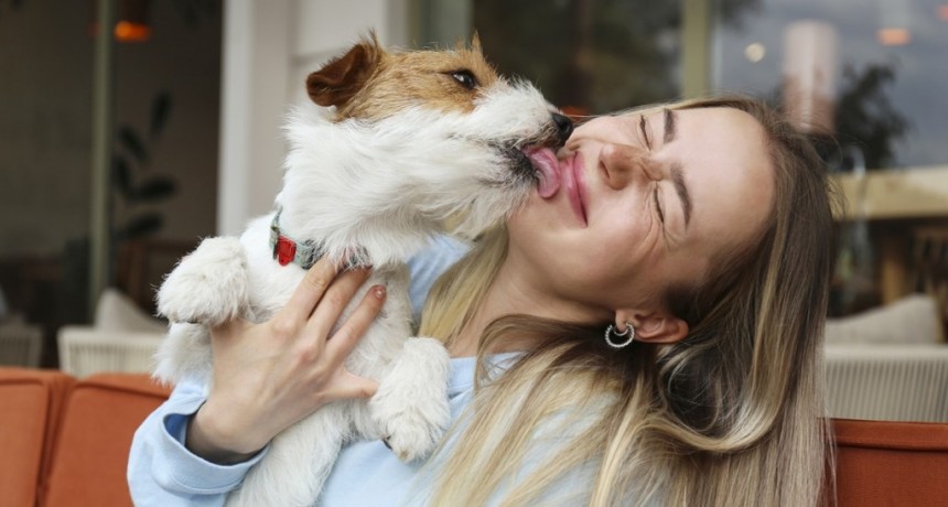 Una sociedad petfriendly empieza por mascotas bien preparadas