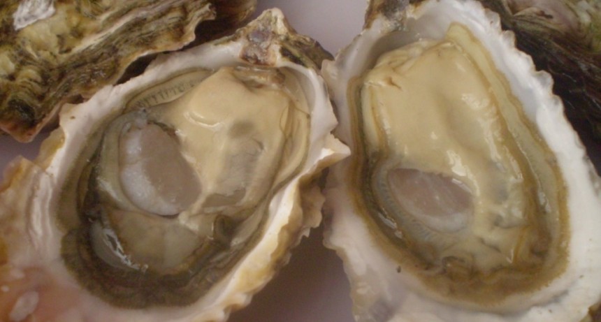 Sabores del sur bonaerense: ostras, pesca deportiva y calma costera