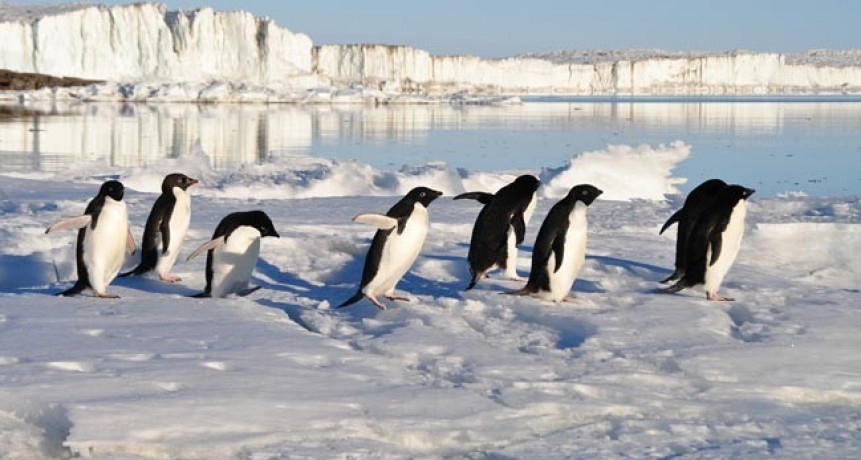 Efemérides del 20 de enero