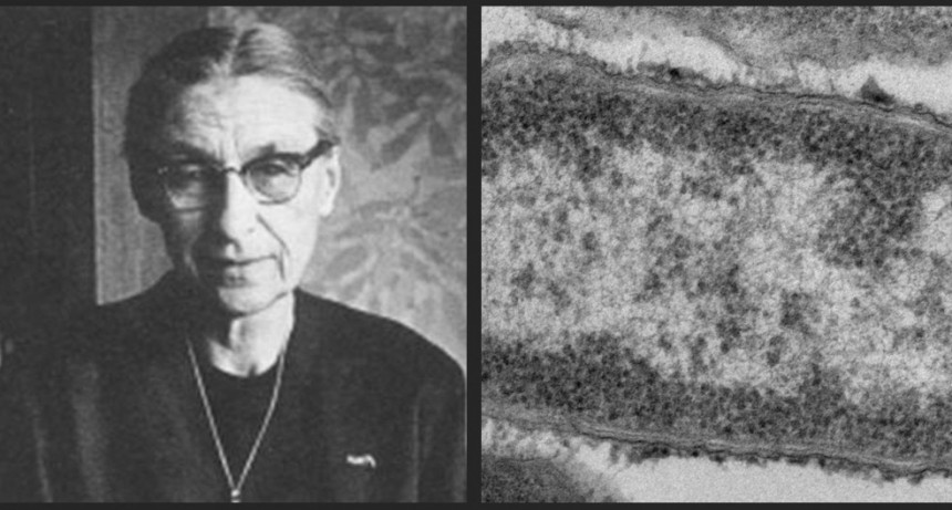  Anna Charlotte Ruys, militante en la «resistencia médica»