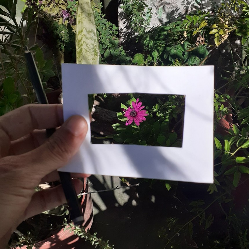 Taller de dibujo para niñxs al aire libre