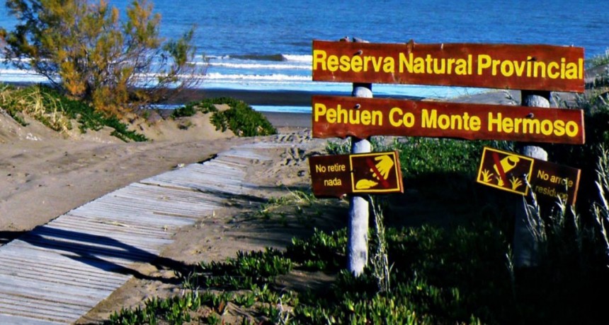 Pehuen Co: un lugar turístico con aventura, naturaleza y ciencia.