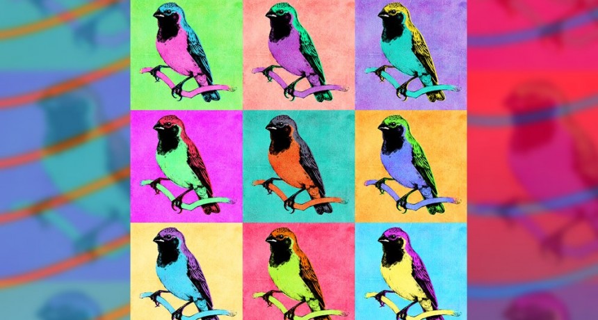 El genoma de los capuchinos y las variaciones en el color de sus plumas