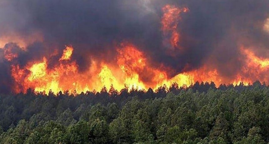 El Ministerio de Agricultura fortalece su presencia en las regiones afectadas por la sequía y los incendios para llevar soluciones a los productores