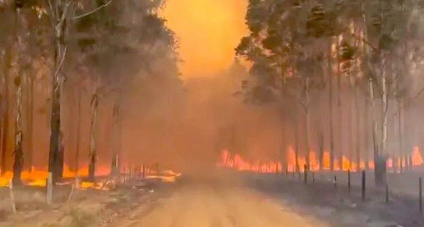 Corrientes: Se pondrá en marcha una línea de crédito específica para productores afectados por incendios y sequías