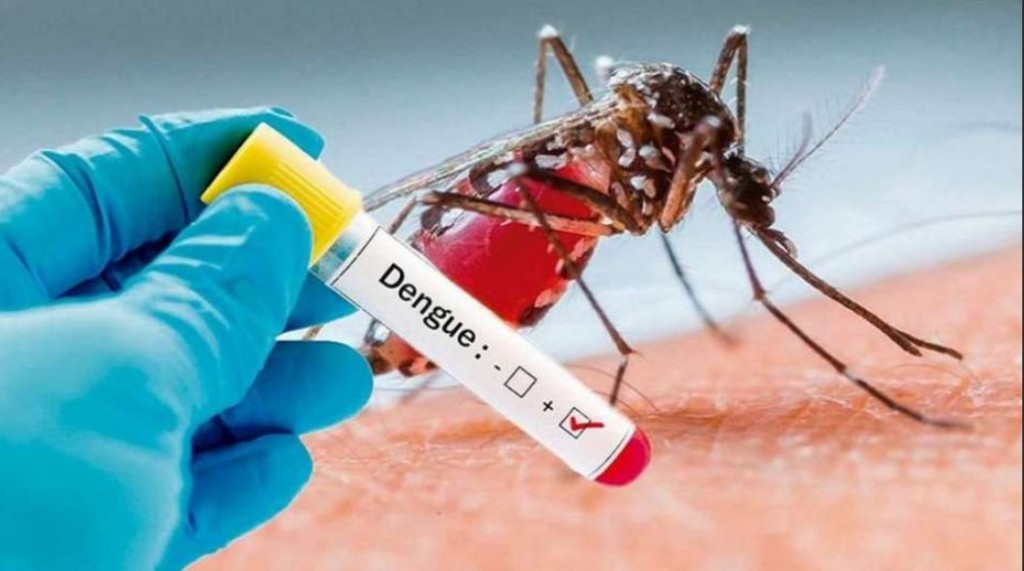 El Ministerio de Salud de la Nación informa la situación epidemiológica de dengue y chikungunya en Argentina