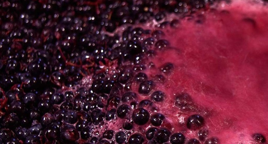 Argentina firma acuerdo para dar seguridad a nuestras exportaciones de mosto concentrado a EEUU