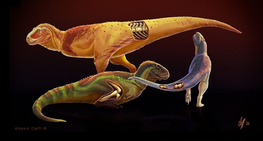 Identifican enfermedades en dinosaurios depredadores que vivieron en la Patagonia a fines del período Cretácico