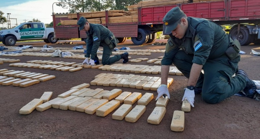 Gendarmería Nacional secuestró en la provincia de Misiones más de 700 kilos de marihuana