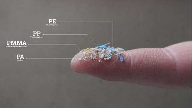 Plásticos, microplásticos y nanoplásticos siguen contaminando el ambiente y a nuestros organismos