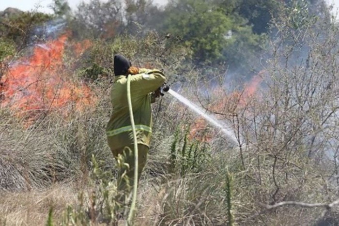 Corrientes en llamas: más de 100 mil hectáreas arrasadas y una tragedia que conmociona a la provincia