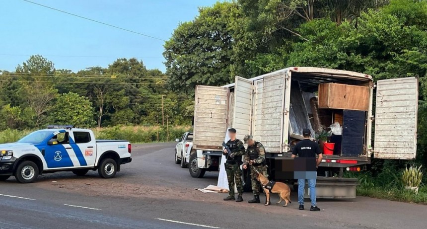 Incautan cuatro toneladas de marihuana valuadas en más de 10 mil millones de pesos en Misiones
