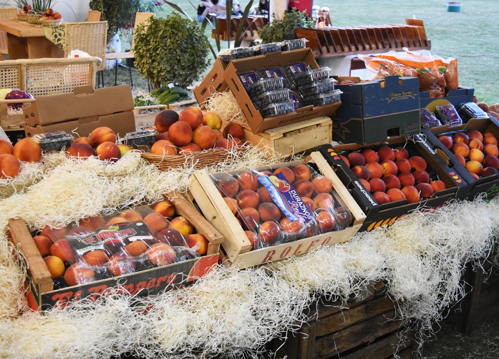 Calendario de eventos turísticos en la Provincia de Buenos Aires. Del 5 al 12 de febrero de 2026