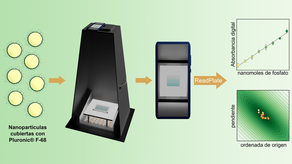 Desarrollan un método basado en teléfonos celulares para medir fosfato, un compuesto químico esencial para la salud, la agricultura y otras áreas