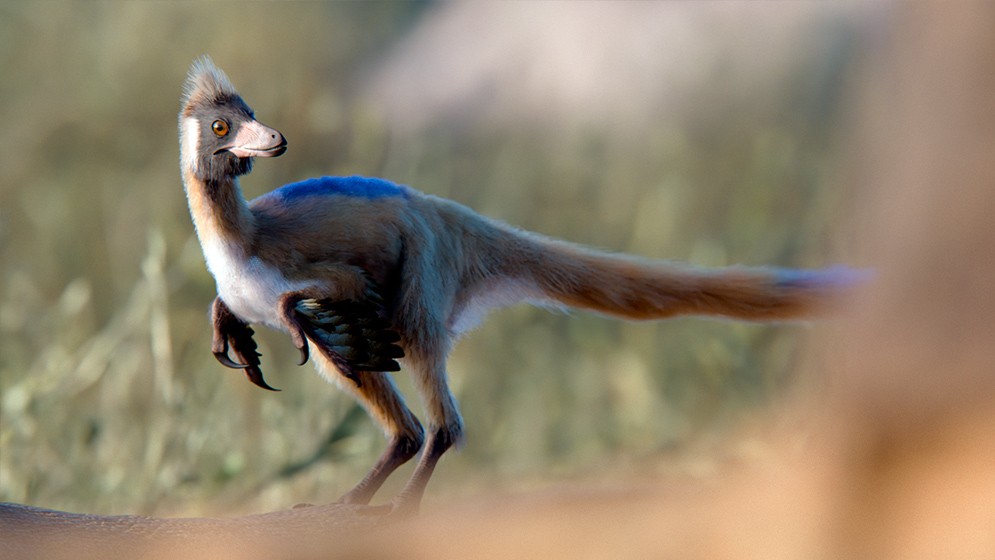 Un fósil patagónico de 95 millones de años reescribe la historia evolutiva de un enigmático grupo de dinosaurios