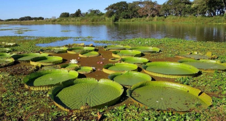 Efemérides del 2 de febrero