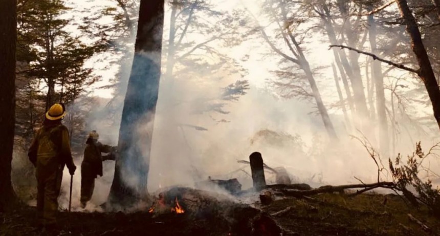 Amplio despliegue aéreo y terrestre para combatir los incendios en la cordillera de Chubut