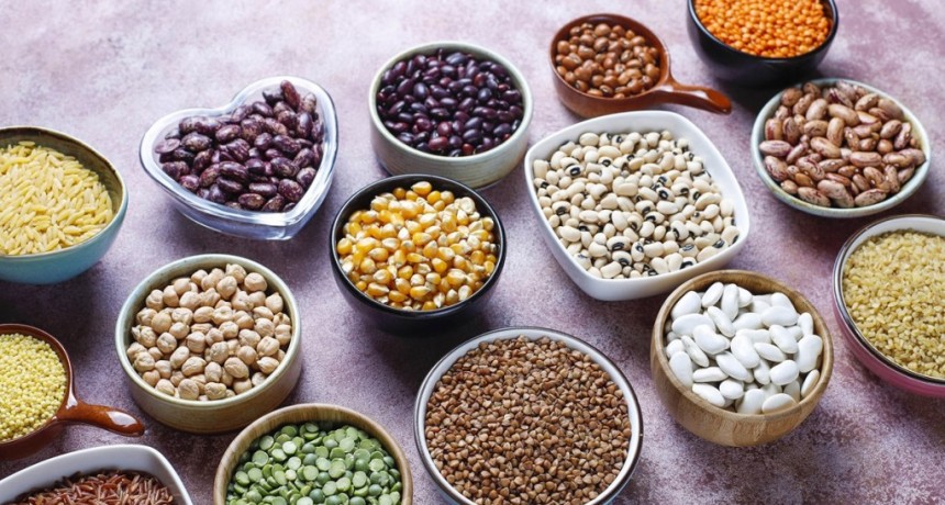 Legumbres: Aliadas indiscutibles de la innovación, sostenibilidad y nutrición