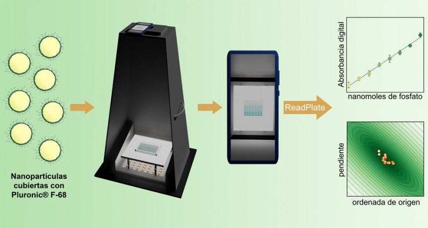 Desarrollan un método basado en teléfonos celulares para medir fosfato, un compuesto químico esencial para la salud, la agricultura y otras áreas