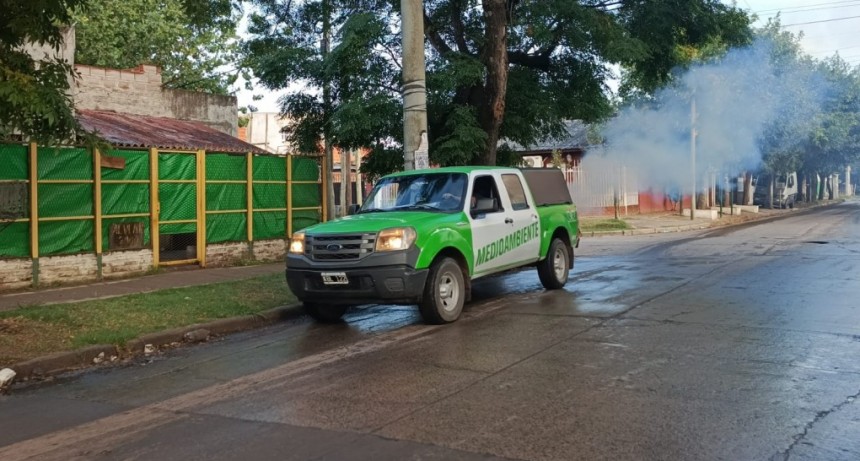 Fumigación sin pausa: el Municipio refuerza los operativos contra el dengue en todos los barrios