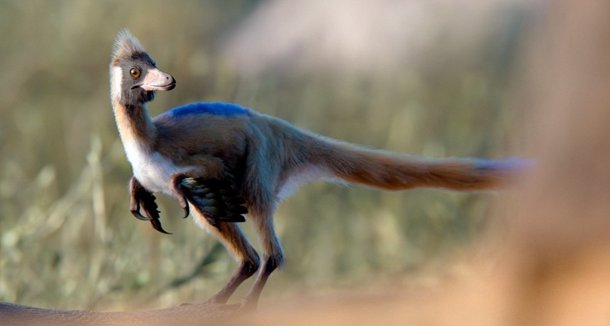 Un fósil patagónico de 95 millones de años reescribe la historia evolutiva de un enigmático grupo de dinosaurios