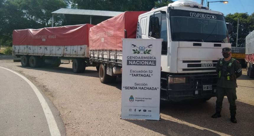Gendarmería Nacional incautó 240 toneladas de maíz y 30 toneladas de soja ilegales