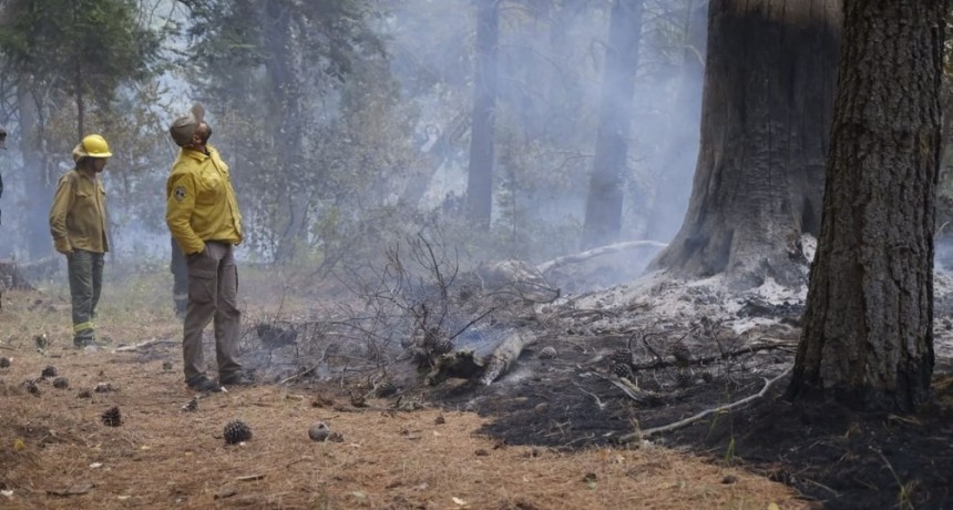 El fuego no terminó en la Comarca Andina