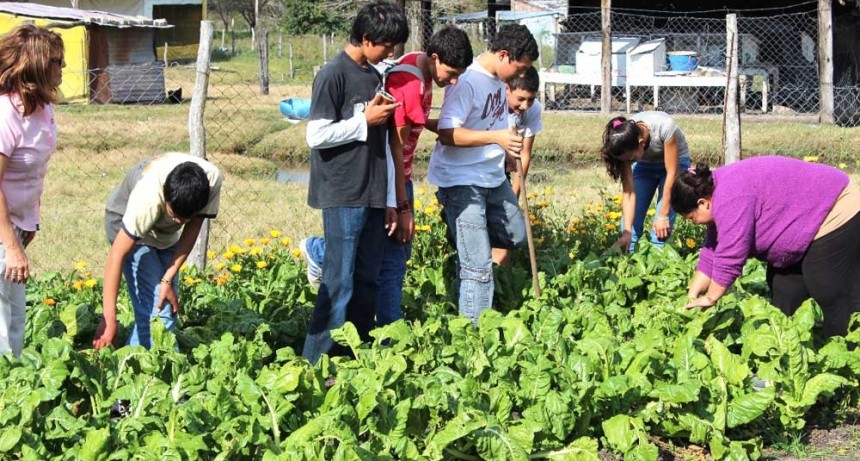 Se lanzó la Campaña Otoño - Invierno 2021 del programa Pro Huerta