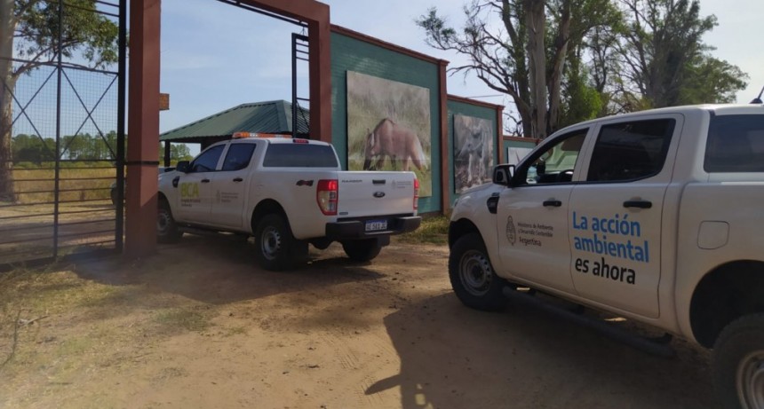 Ambiente continúa con la asistencia a la fauna silvestre en Corrientes