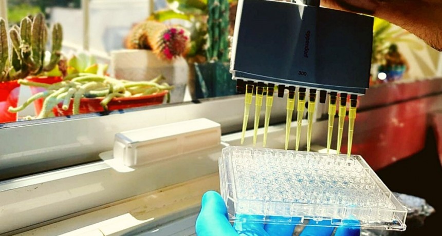 La historia de InmunoCoviTuc: un test que tuvo grandes resultados