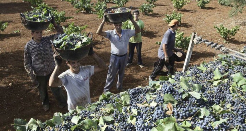 Las exportaciones de MiPyMEs vitivinícolas crecieron 5,5% en 2021