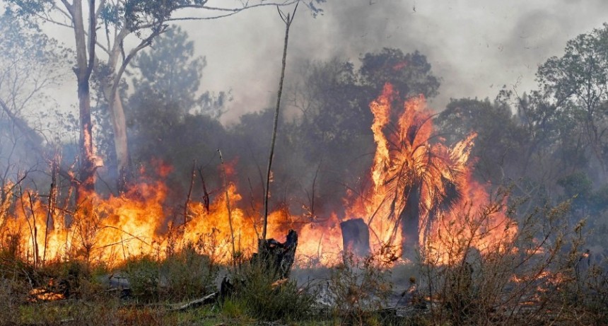 Incendios en Corrientes: se registran dos focos activos