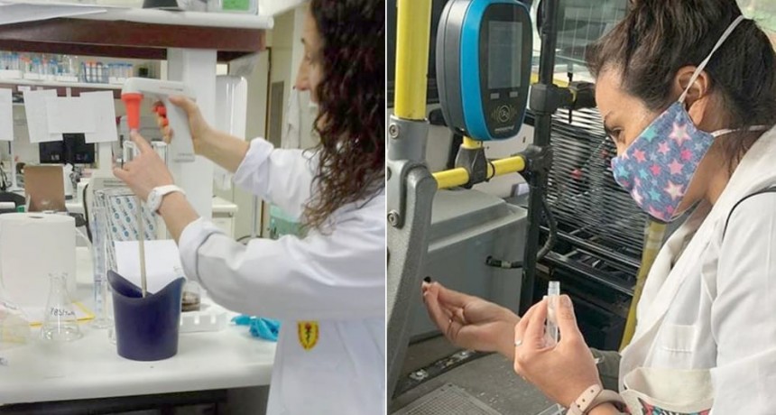 PERVIRAL: el primer spray antiviral y antibacterial, generado por científicas del CONICET