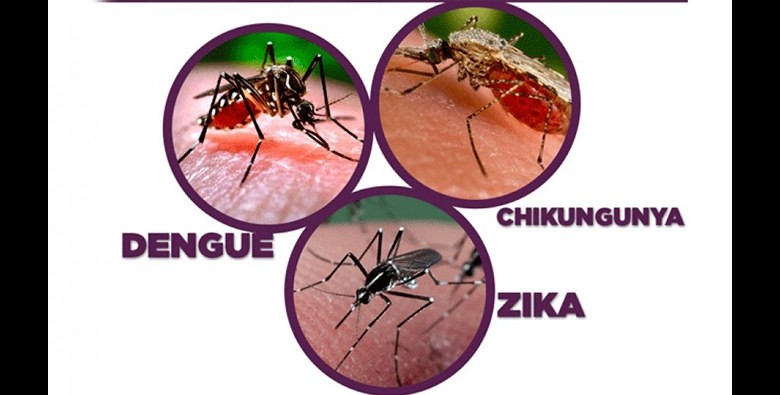 El Ministerio de Salud actualiza la situación epidemiológica de dengue y chikungunya en Argentina y recuerda medidas de prevención