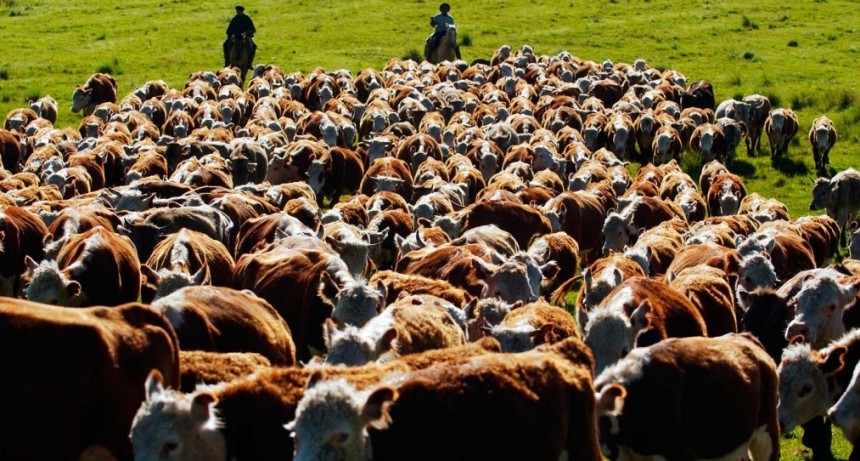 Crean el Programa de Fortalecimiento Productivo Argentino para producción de carne vacuna