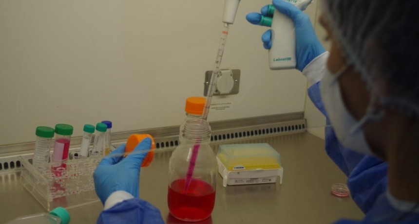 Relacionan alteraciones del metabolismo celular con el desarrollo de metástasis en cáncer de mama
