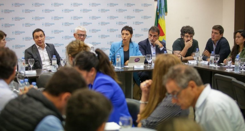 Mayra Mendoza resalta proyecto para proteger cuenca de arroyos San Francisco-Las Piedras